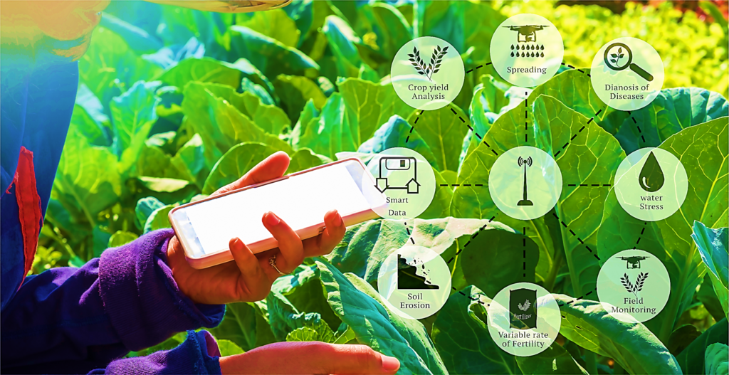 Applications of ICT in the Agriculture Field